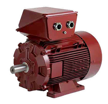 Motor Dyneo